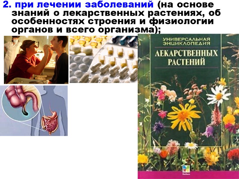 2. при лечении заболеваний (на основе знаний о лекарственных растениях, об особенностях строения и